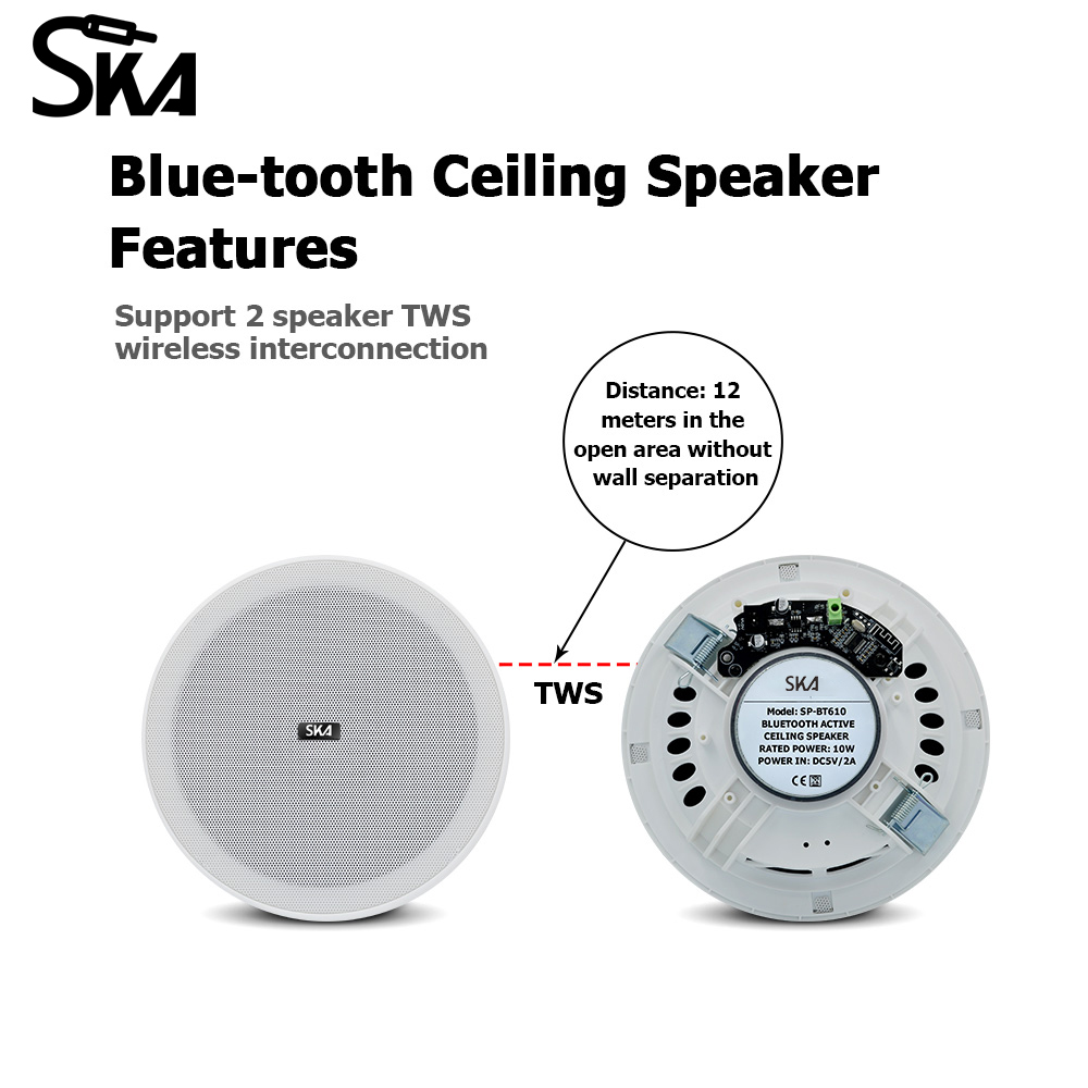 ลำโพงเพดานบลูทูธ6นิ้ว10วัตต์ลำ - Home Cinema Speaker System บทวิจารณ์และราคา