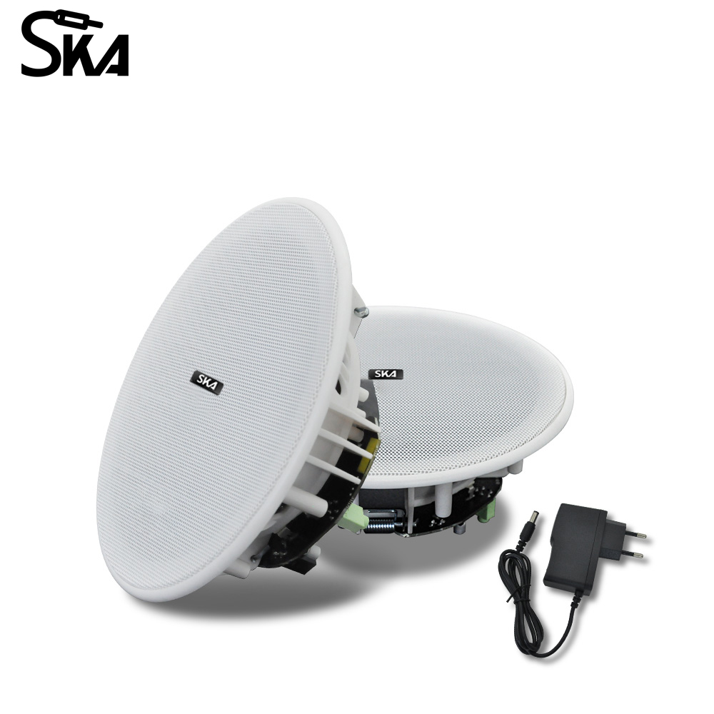 ลำโพงเพดานบลูทูธ6นิ้ว10วัตต์ลำ - Home Cinema Speaker System บทวิจารณ์และราคา