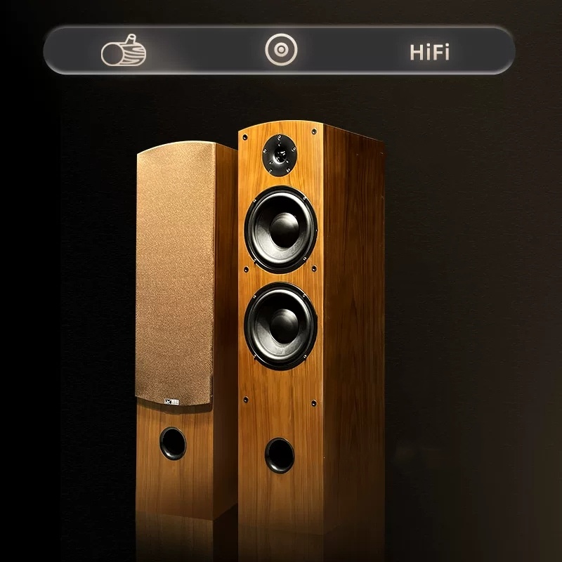 ลำโพงไฮไฟ HAX-159 สำหรับนักฟัง - Home Cinema Room Accessories บทวิจารณ์และราคา